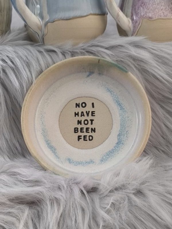 Handmade ceramic bowl with a smooth glaze, 13cm circumference and 3cm depth, featuring the humorous text 'No, I have not been fed' in the centre