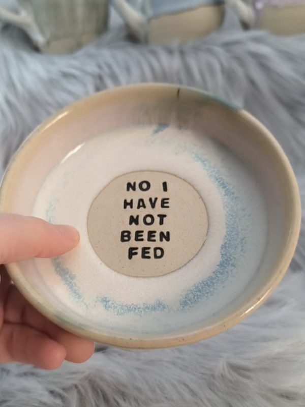 Handmade ceramic bowl with a smooth glaze, 13cm circumference and 3cm depth, featuring the humorous text 'No, I have not been fed' in the centre